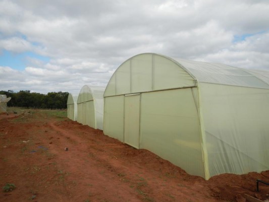 Evadek-GT-LD-(2) Evadek-GT-LD-(2)